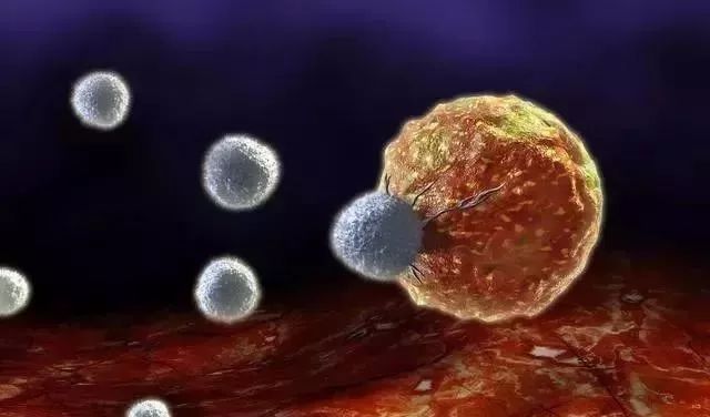 NK細胞：強大的抗癌前鋒！